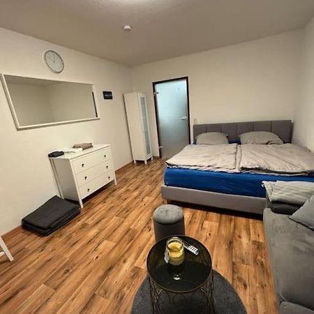Gemuetliche Wohnung Mit Balkon Саарбрюккен Экстерьер фото